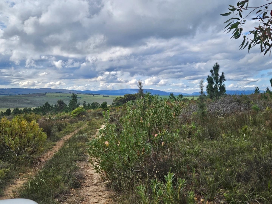 2 Bedroom Property for Sale in Baardskeerdersbos Western Cape